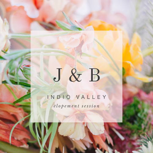 Dreamy Boho Desert Elopement in Indio