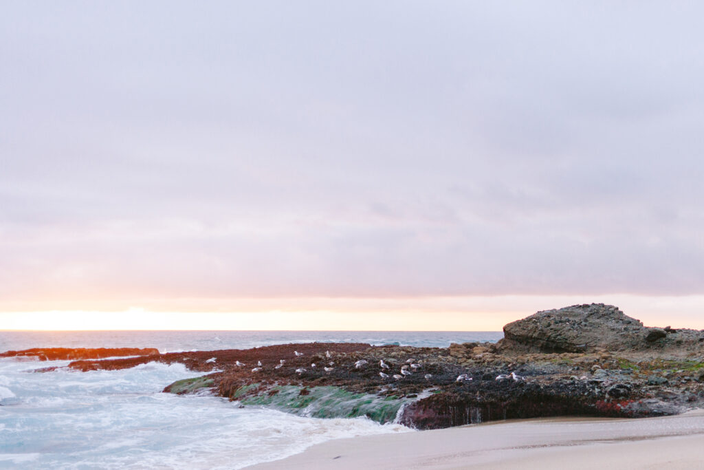 beach sunset