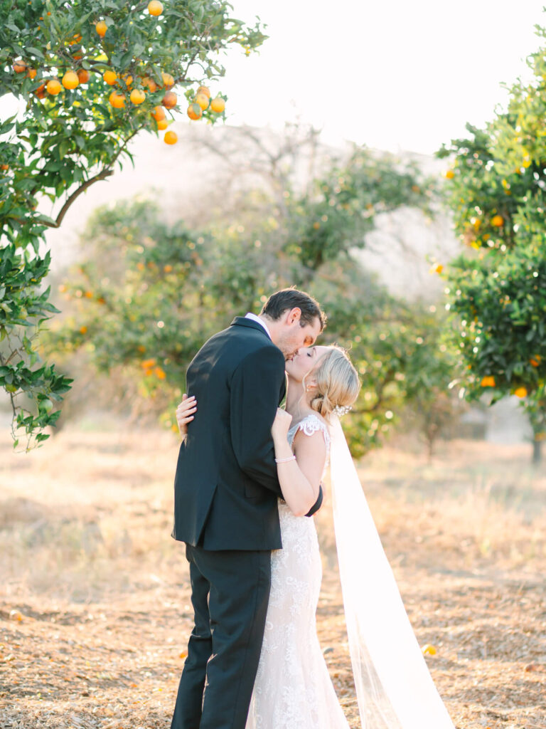 Bride and groom kiss under orange trees in a sunlit orchard.