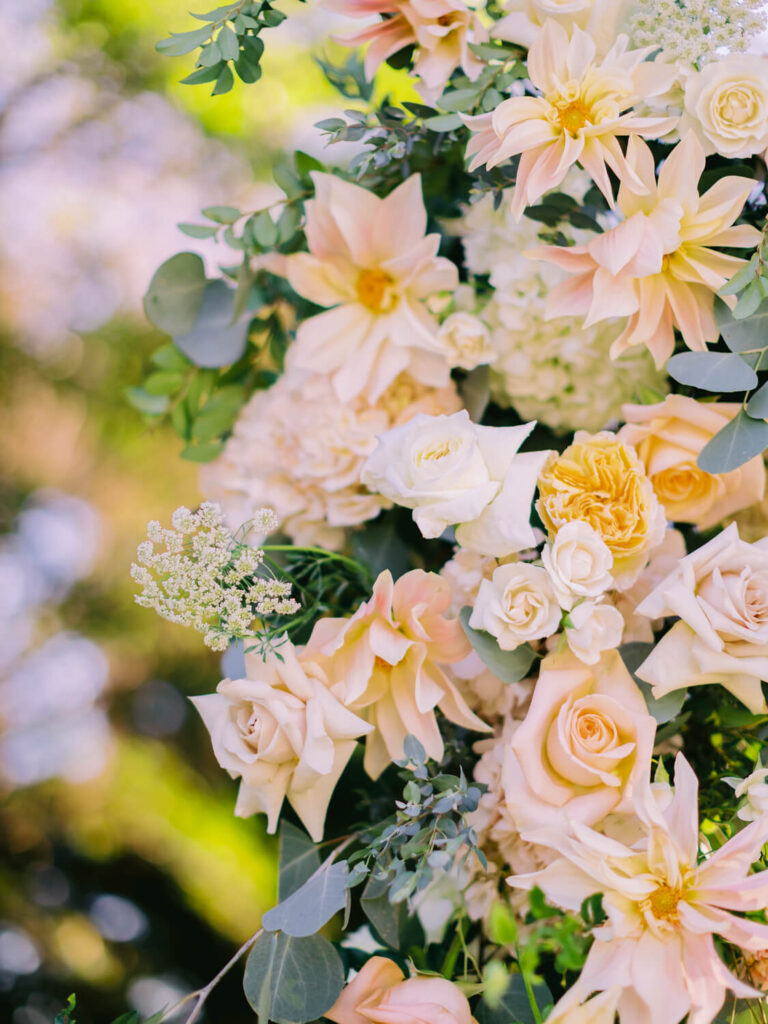 Close-up of a lush floral arrangement featuring pale pink and cream roses, green leaves, and soft sunlight.