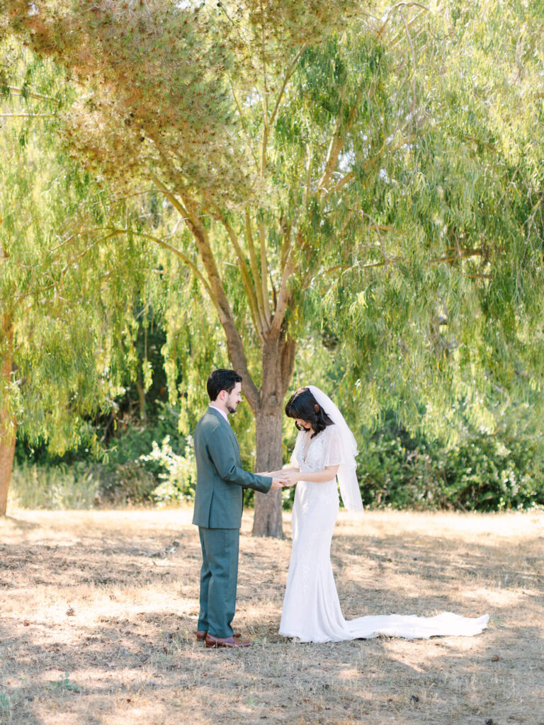 Bride and groom stand holding hands under a lush tree in a sunlit garden. Bride in white gown and veil; groom in green suit.
