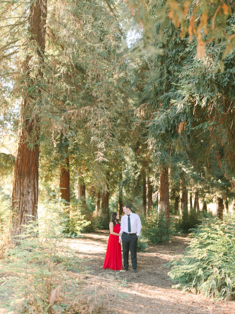 A couple stands on a sunlit forest path, surrounded by tall, lush trees.