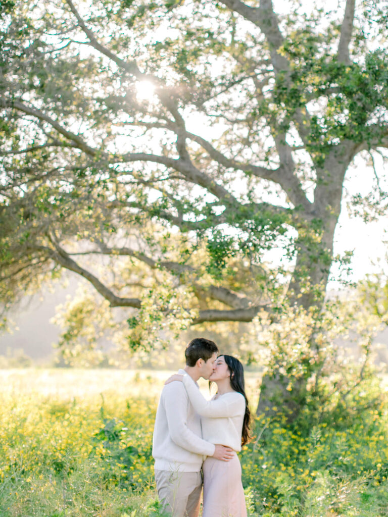 A couple embraces and kisses in a sunlit meadow, surrounded by lush green grass and a large tree.