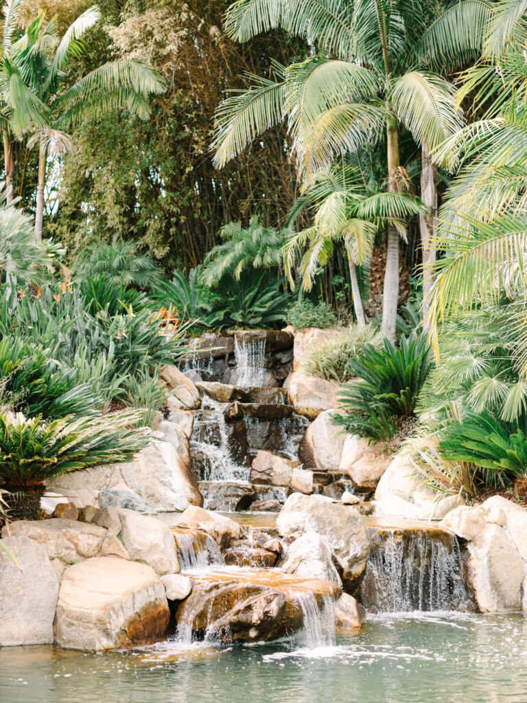 A tranquil waterfall cascades over rocks into a serene pond, surrounded by lush greenery and tall palm trees