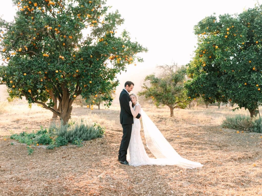 A bride and groom embrace under a sunlit orange tree in an orchard. Her veil gently cascades to the ground.