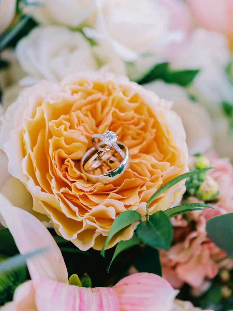 Engagement and wedding rings elegantly resting on a fully bloomed peach rose, surrounded by soft green leaves and pastel flowers.